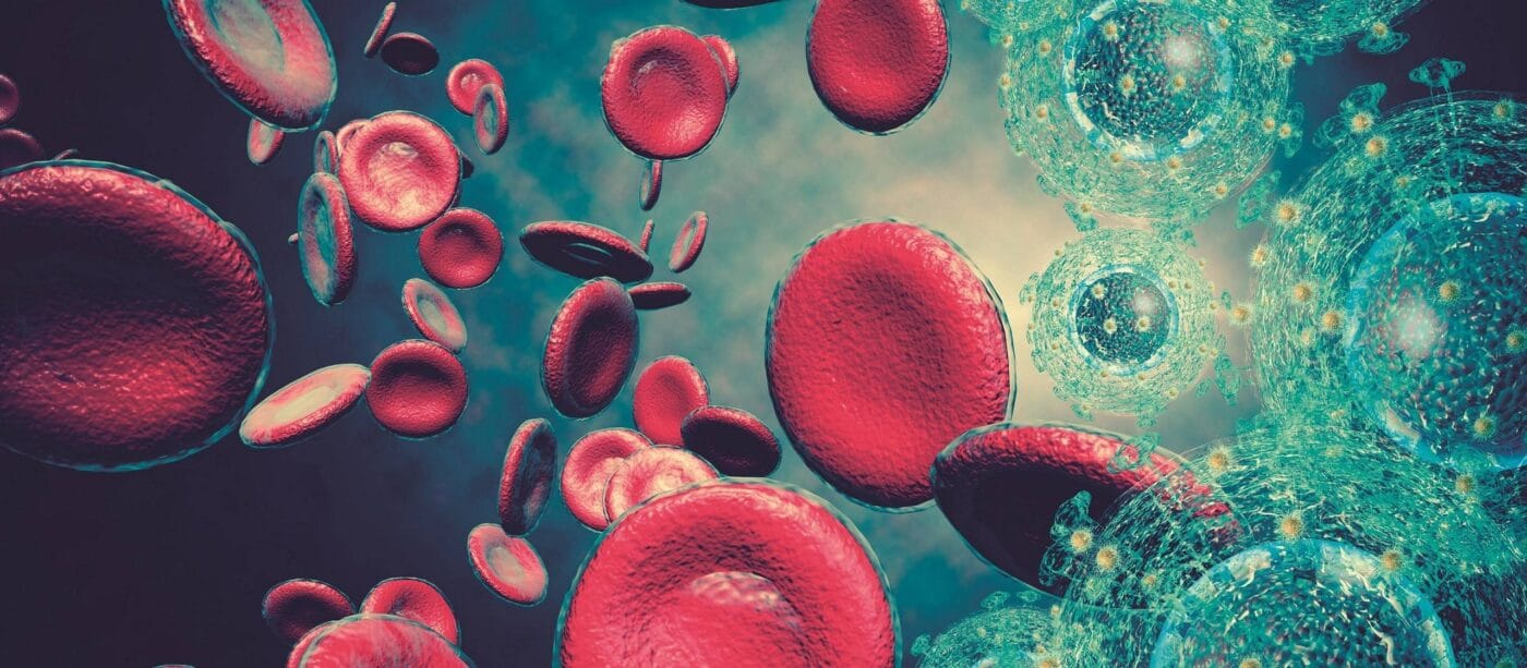 Everything You Need to Know About HIV and AIDS - 10 Essential Facts ...