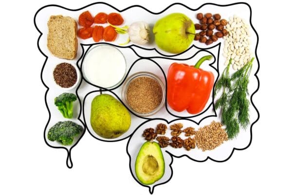 Gut Check: 9 Fun Facts About Your Digestive System