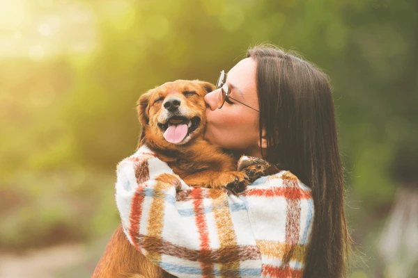 Can Humans Get Heartworms from Dogs