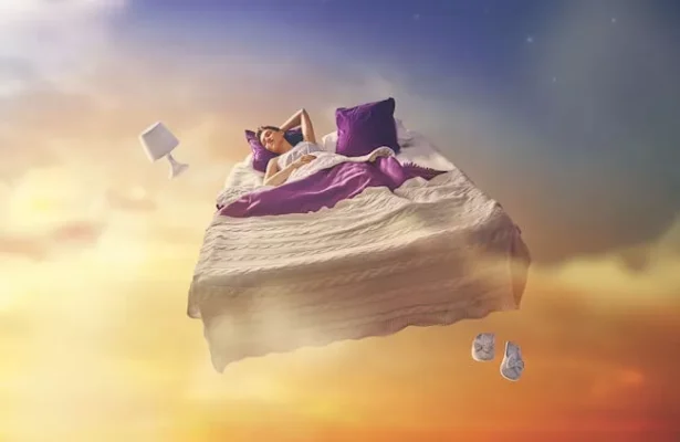 Purpose of Sleep