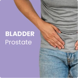 Bladder Prostate