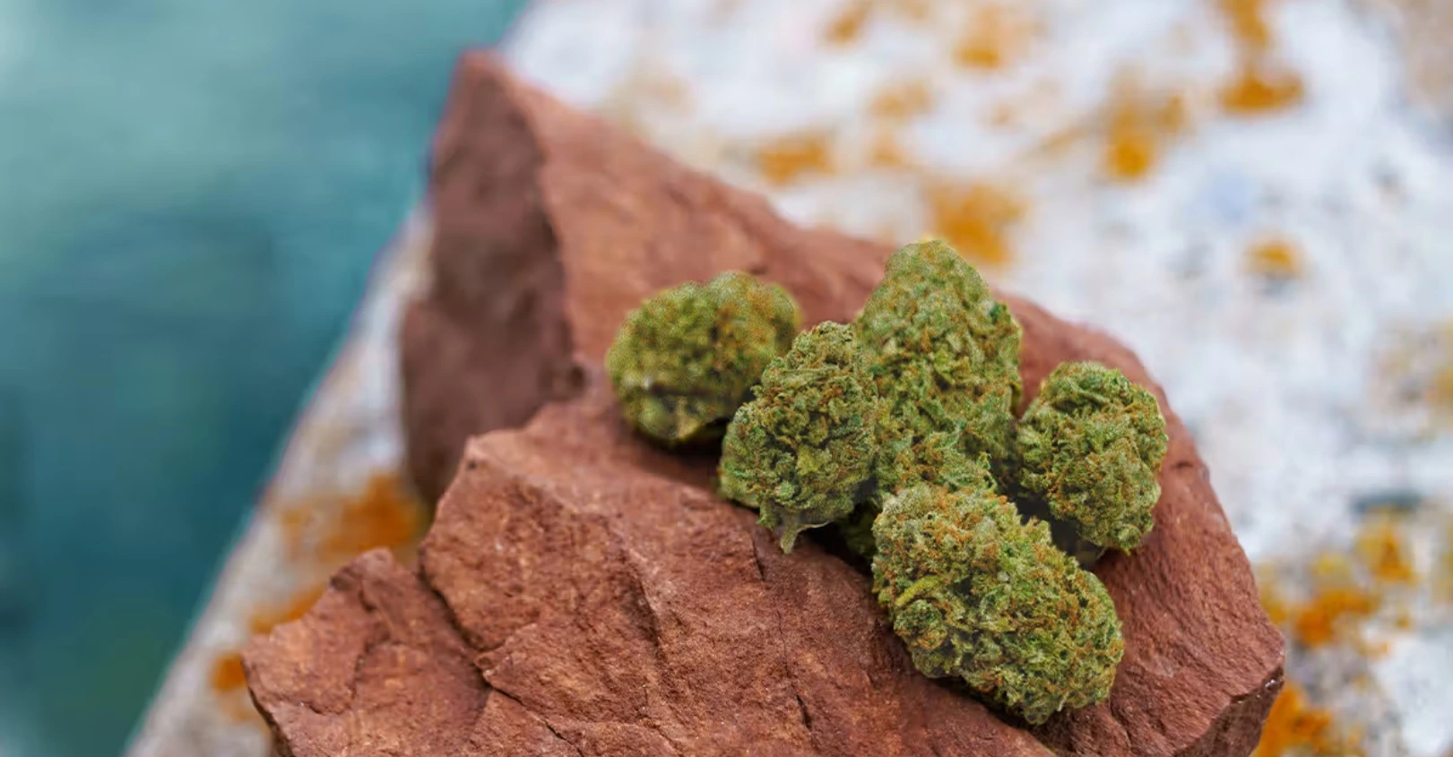 What Are Marijuana Moon Rocks? | MedsBase.com