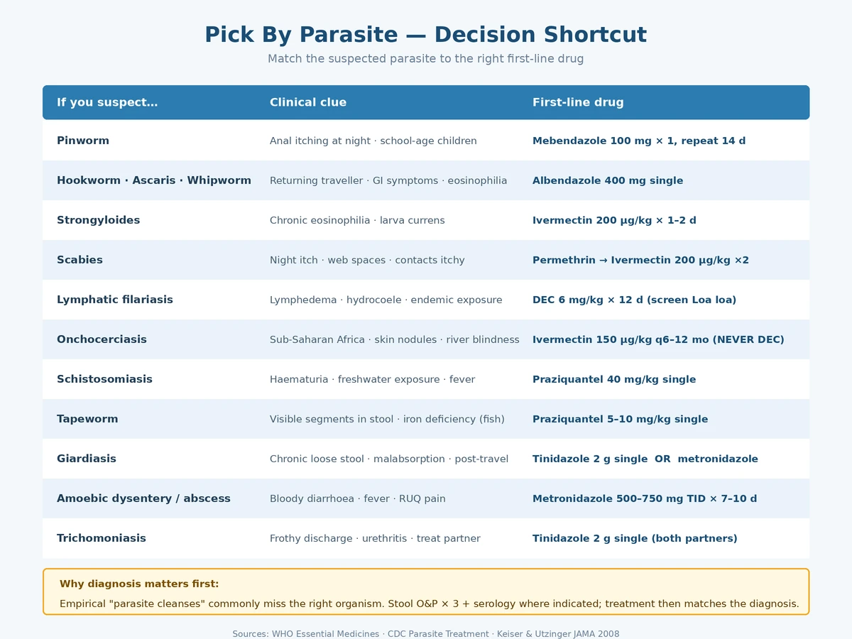 Antiparasitic decision shortcut — first-line drug for pinworm, hookworm, strongyloides, scabies, filariasis, schistosomiasis, tapeworm, giardiasis, amoebiasis and trichomoniasis