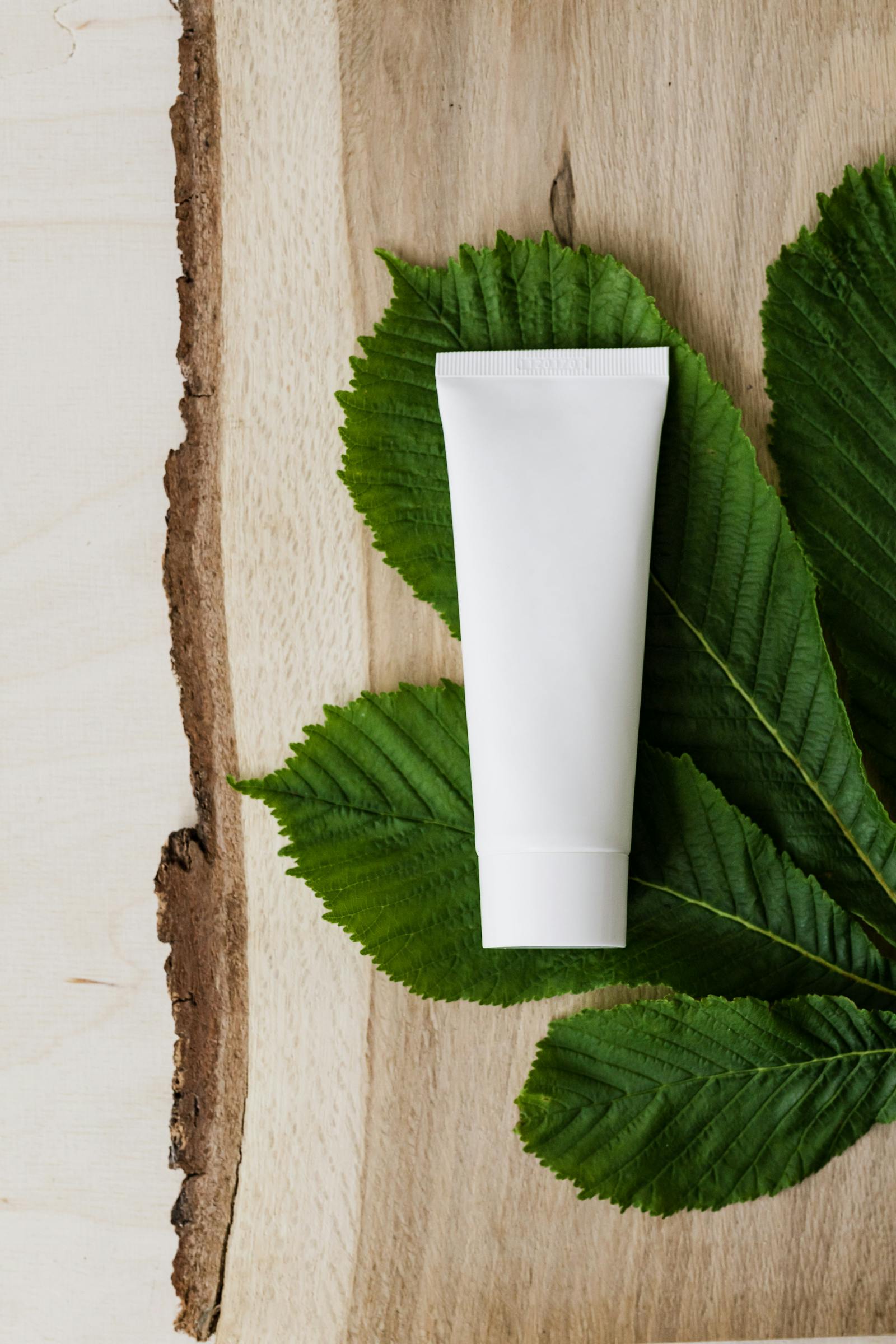 White azelaic acid cream tube on green leaves representing natural rosacea and acne treatment