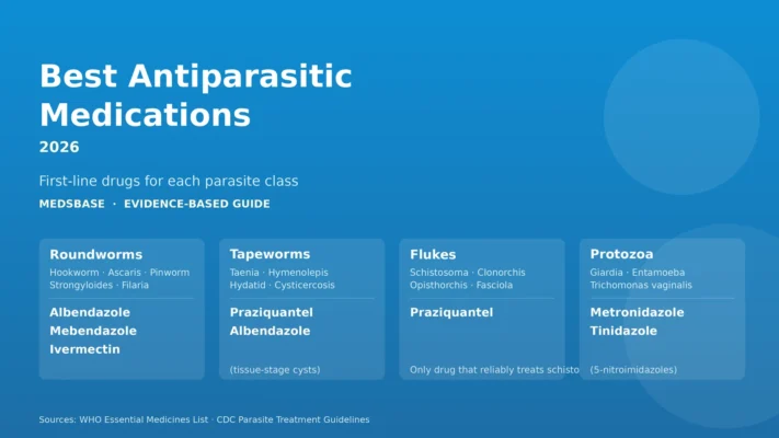 Infographic listing first-line antiparasitic drugs for roundworms, tapeworms, flukes and protozoa