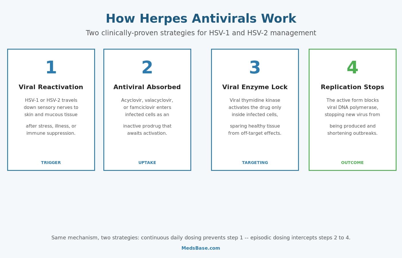 Herpes antiviral mechanism of action diagram showing viral reactivation, uptake, enzyme targeting, and replication block