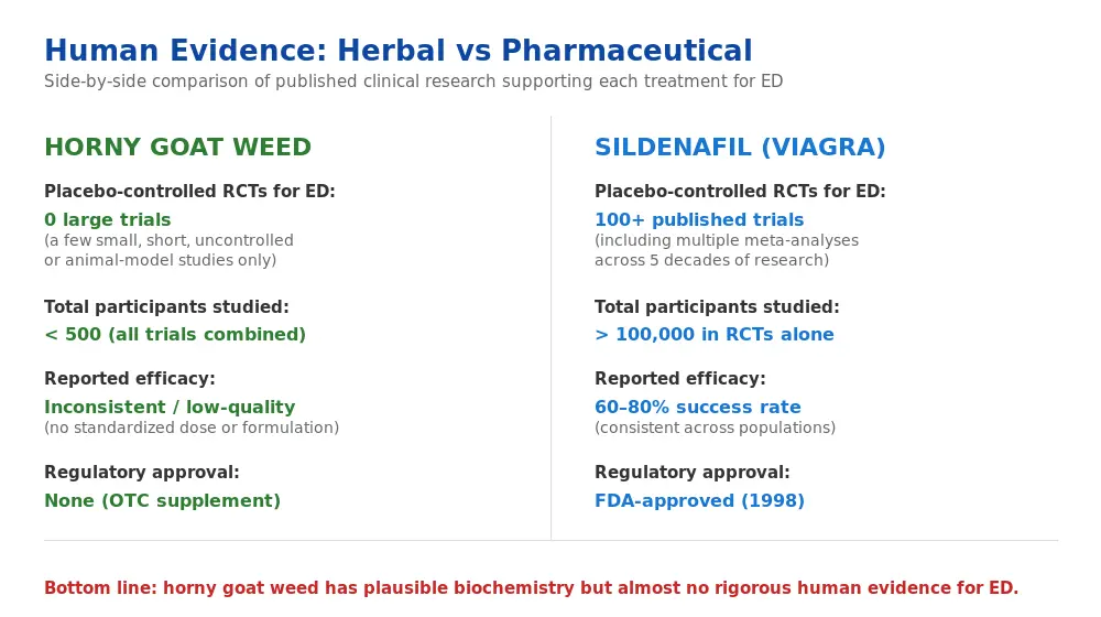 Side-by-side comparison of clinical trial evidence for horny goat weed and Viagra for erectile dysfunction