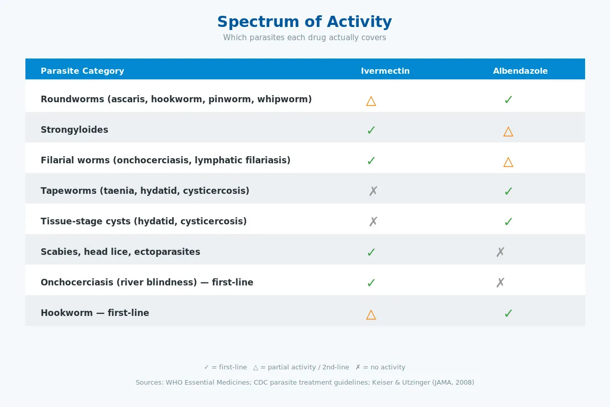 Ivermectin vs albendazole spectrum of activity infographic roundworms tapeworms scabies