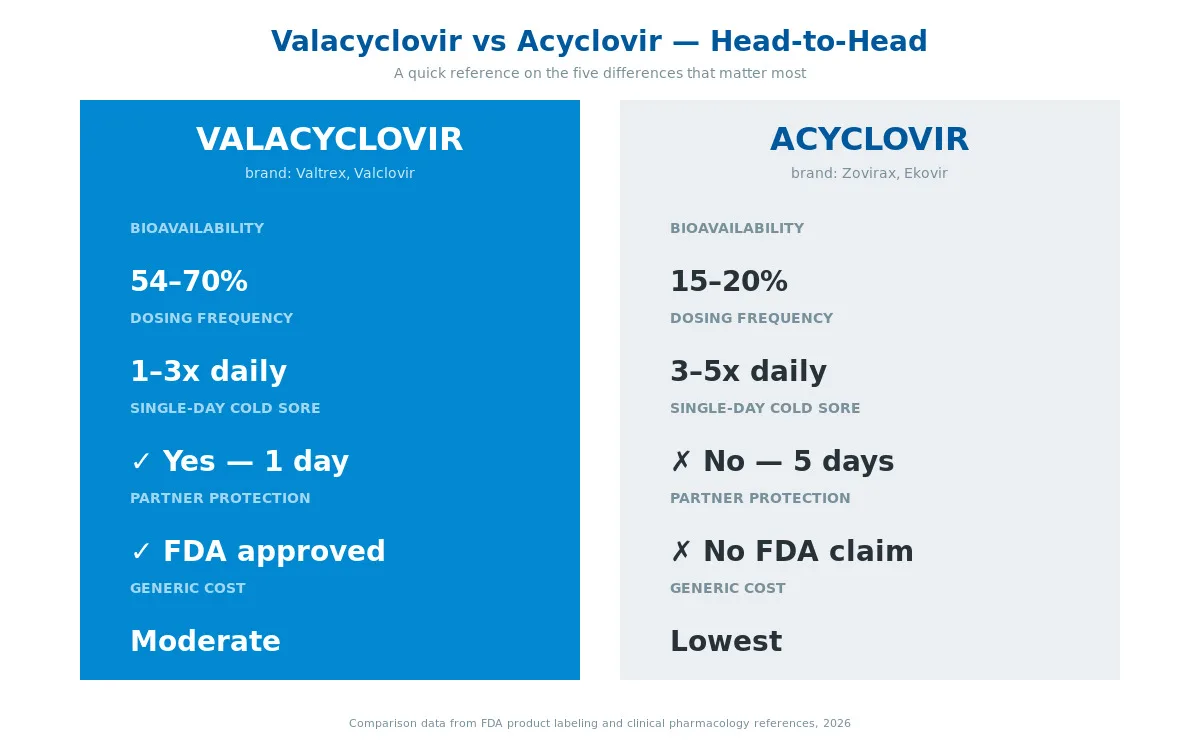 Valacyclovir vs acyclovir side by side comparison chart with dosing and bioavailability