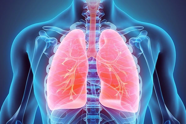 B7-33 Peptide The Biased Relaxin Agonist Fighting Fibrosis