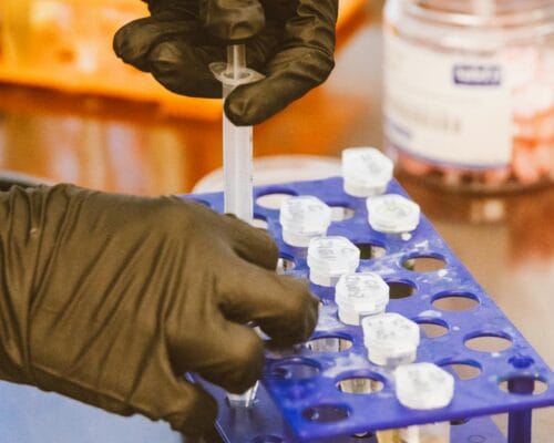 Gloved hands using a syringe to draw from a labelled vial in a research-grade sample tray — illustrates the careful sourcing and dose handling that drives BPC-157 side-effect risk reduction