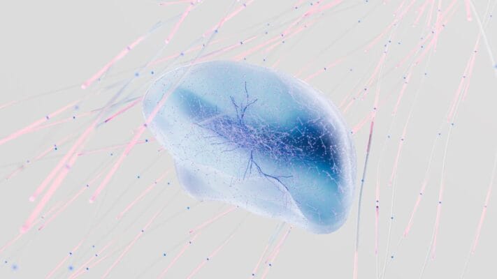 3D rendering of neural network with neuron connections — anxiolytic research