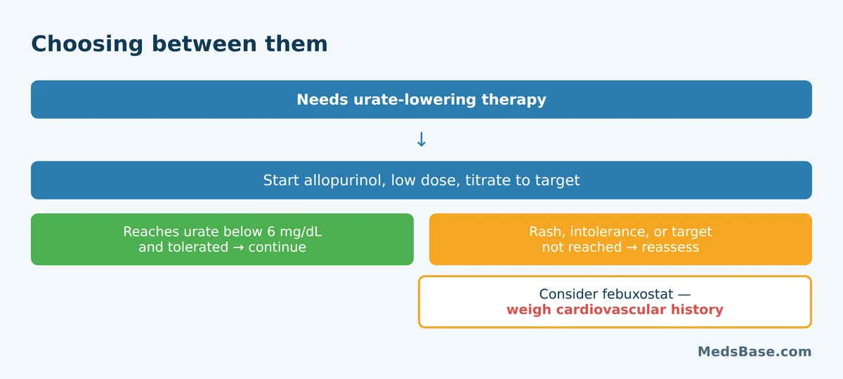 Decision flow for choosing between allopurinol and febuxostat for gout prevention