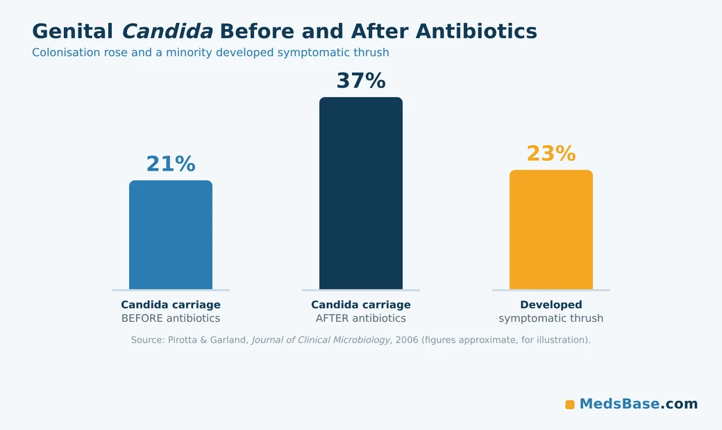 Research chart: genital Candida colonisation before and after antibiotics
