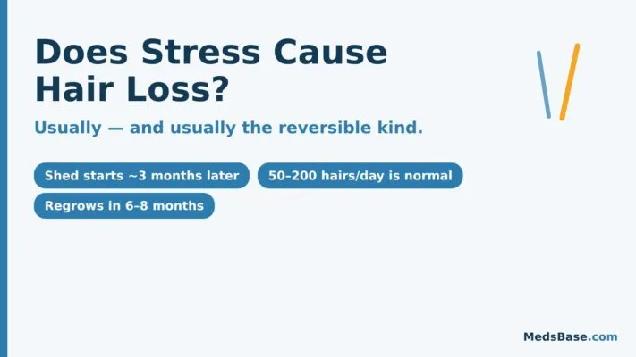 Does stress cause hair loss: telogen effluvium timeline shows shedding is usually reversible