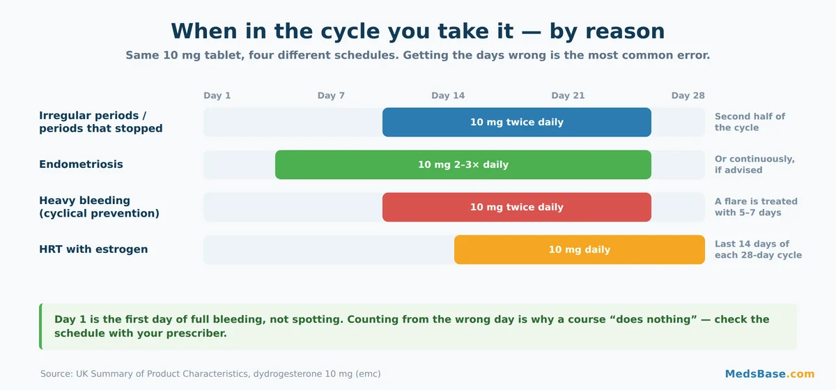 Duphaston dosage chart showing cycle-day schedules for irregular periods, endometriosis, heavy bleeding and HRT