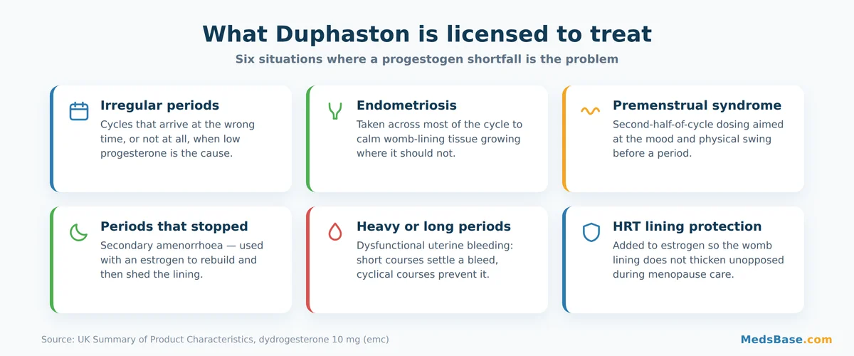 Infographic of six licensed Duphaston uses including irregular periods, endometriosis, PMS and HRT lining protection
