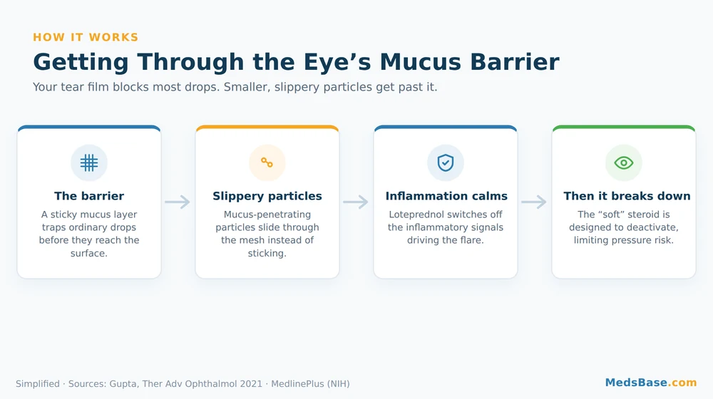 Diagram of how Eysuvis eye drops penetrate the eye mucus barrier to calm inflammation