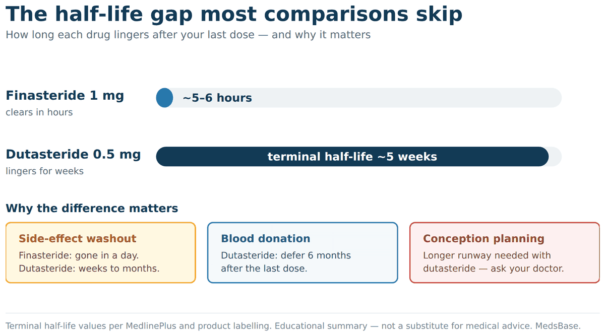 Timeline comparing finasteride and dutasteride half-life and washout implications