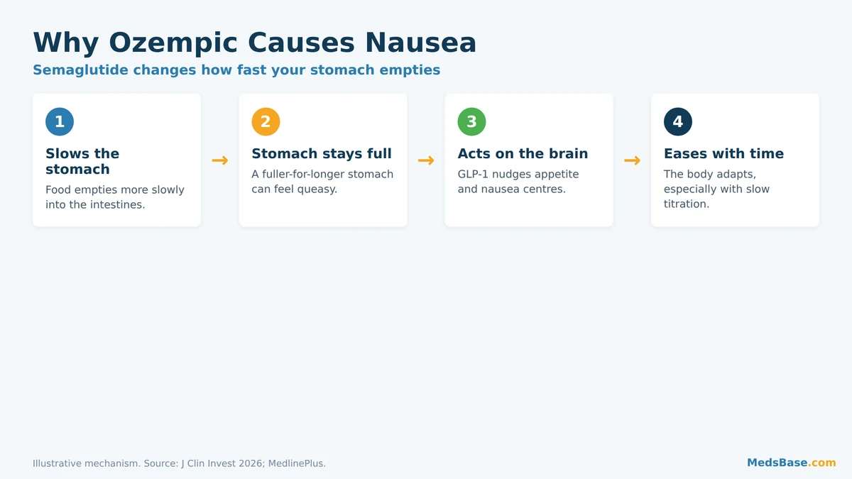 How GLP-1 slows stomach emptying and triggers ozempic nausea