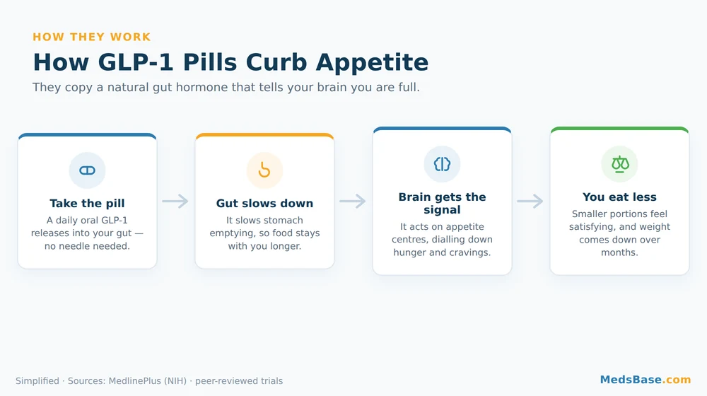 Diagram of how GLP-1 pills for weight loss curb appetite