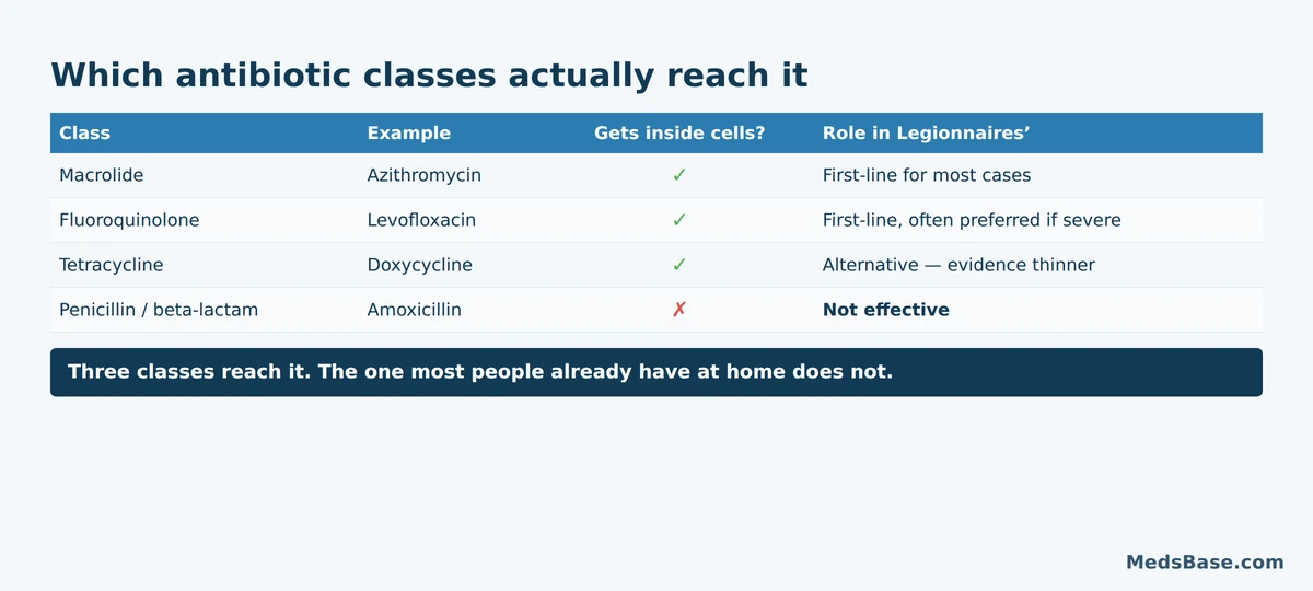 Comparison of antibiotic classes showing which penetrate cells to treat Legionnaires disease