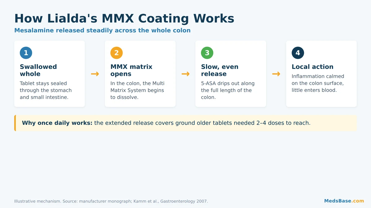 Lialda mesalamine MMX mechanism releasing drug across the whole colon