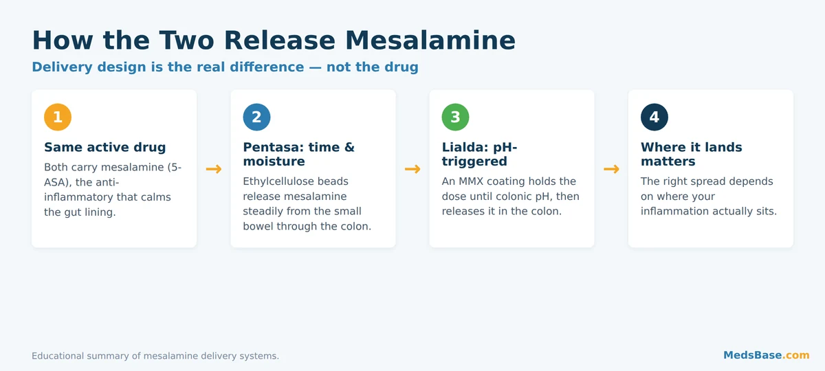 How Pentasa vs Lialda release mesalamine differently in the gut