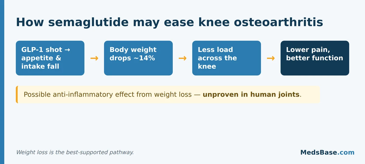 How semaglutide may ease knee osteoarthritis: weight loss lowers joint load and pain