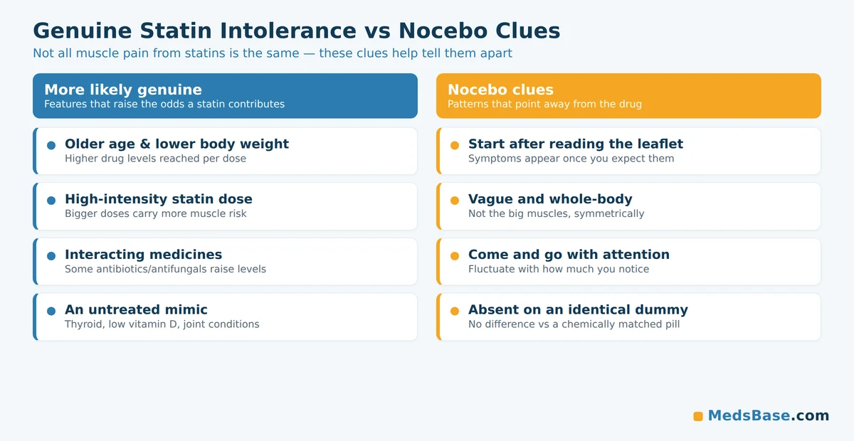 Signs of genuine statin intolerance versus nocebo clues for muscle pain from statins