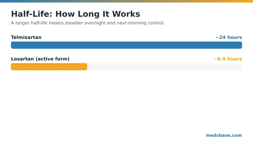 Telmisartan vs losartan half-life comparison over 24 hours