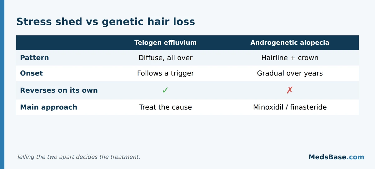 Telogen effluvium vs androgenetic alopecia compared: diffuse reversible shed versus patterned loss