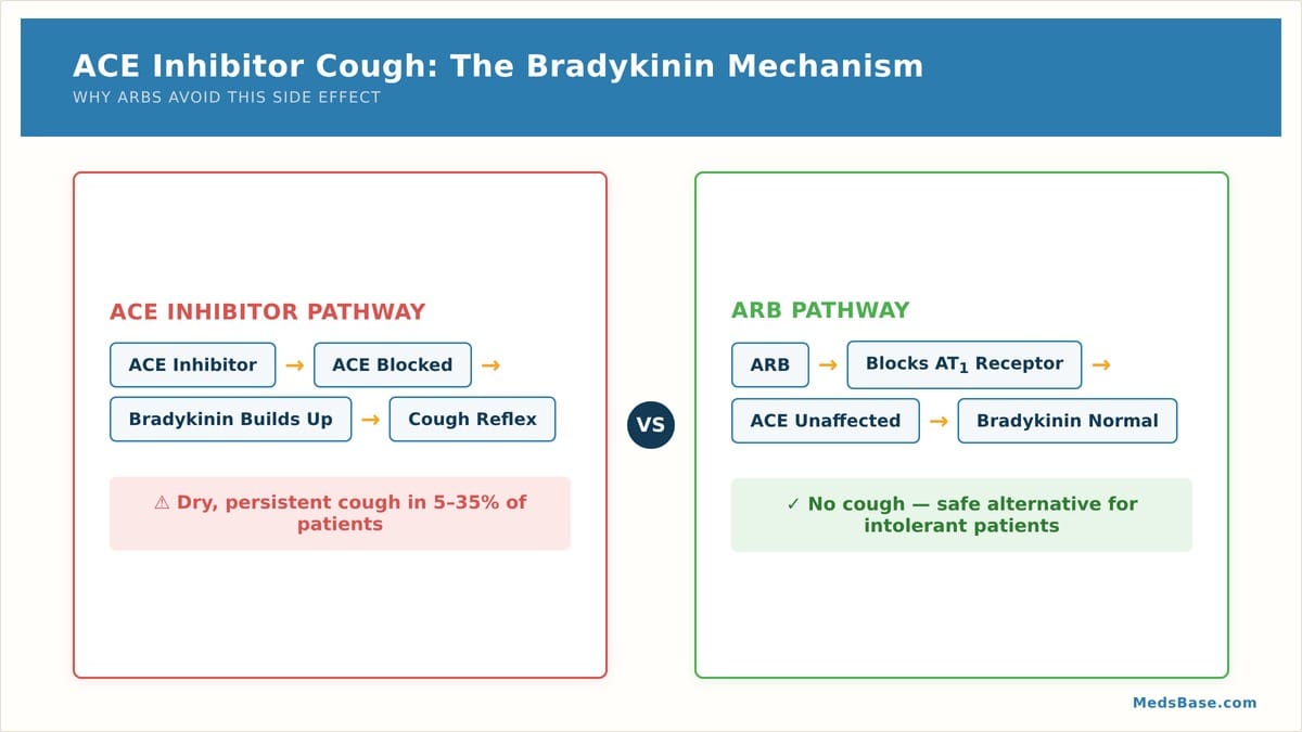 ACE inhibitor cough mechanism bradykinin pathway vs ARB alternative