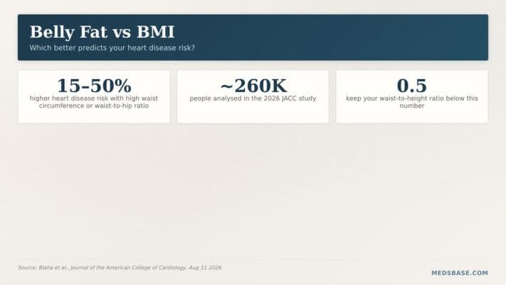Belly fat vs BMI heart disease risk comparison showing waist measurement beats the scale