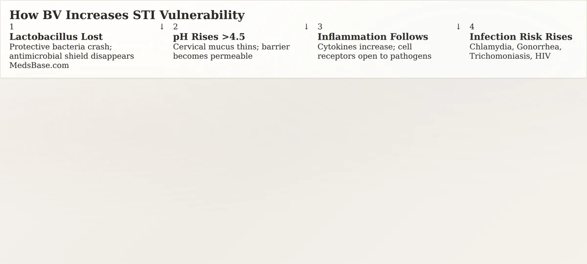How bacterial vaginosis increases vulnerability to sexually transmitted infections mechanism diagram