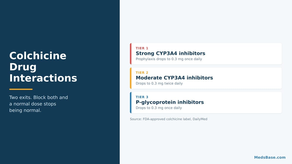 Colchicine drug interactions overview showing three risk tiers and the dose reduction each one requires
