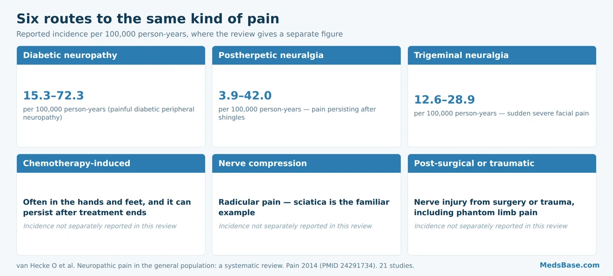 Six common causes of neuropathic pain with reported incidence per 100,000 person-years