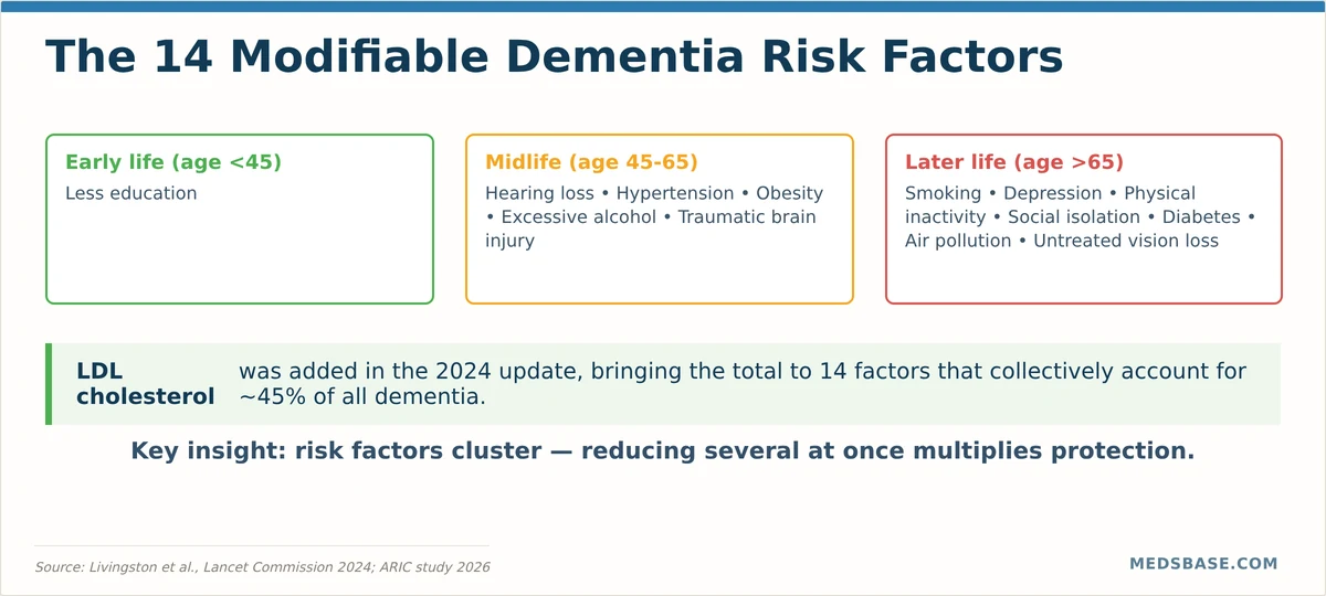 The 14 modifiable dementia risk factors — early-life, midlife, and late-life categories