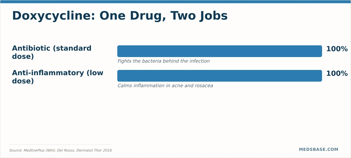 Doxycycline dual action chart showing antibacterial and anti-inflammatory properties