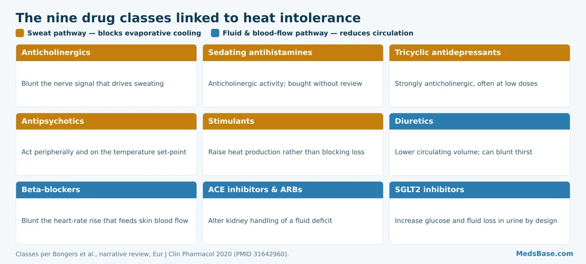 Nine drug classes linked to heat intolerance, grouped by whether they block sweating or reduce fluid volume