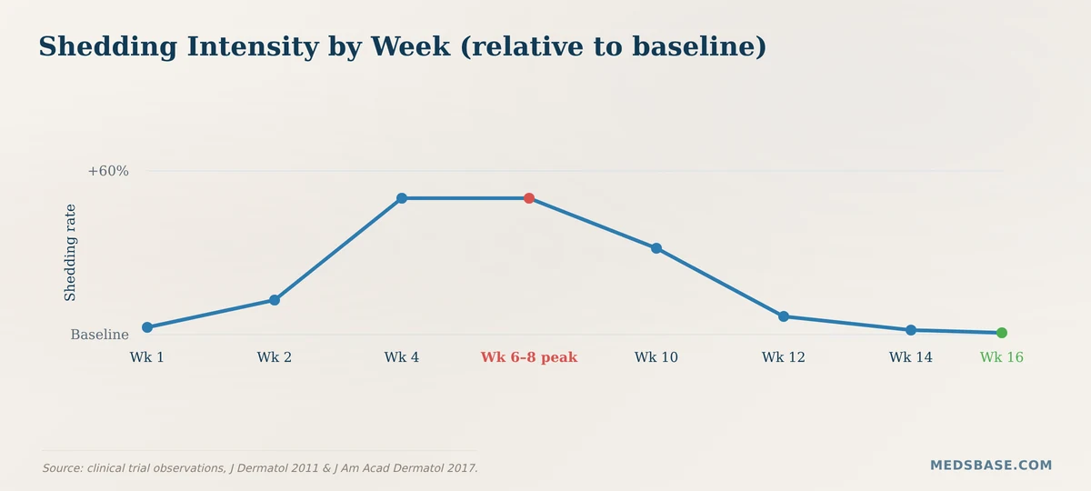 Finasteride shedding phase week-by-week timeline chart
