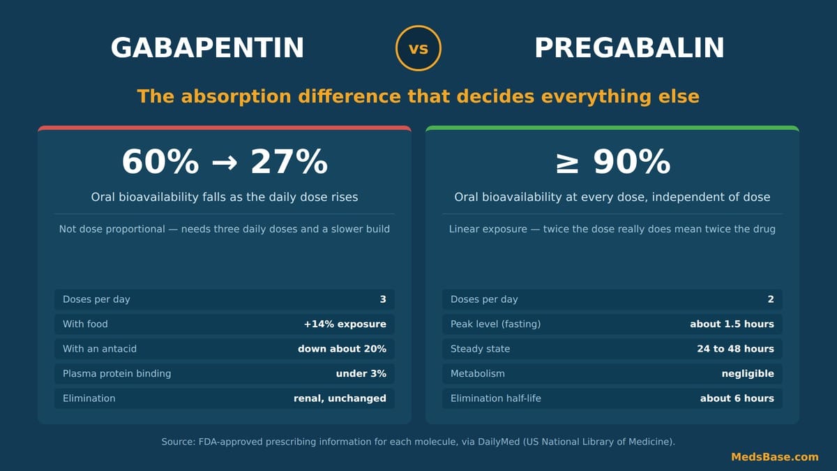 Gabapentin vs pregabalin compared on oral bioavailability from the FDA-approved prescribing information