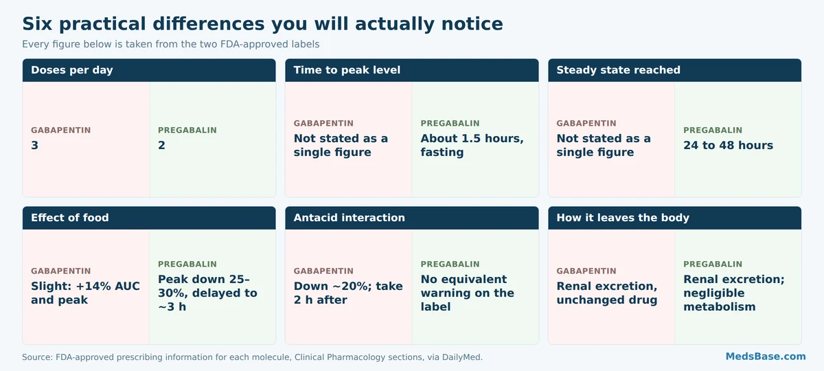 Six practical differences between gabapentin and pregabalin including dosing frequency and food effects