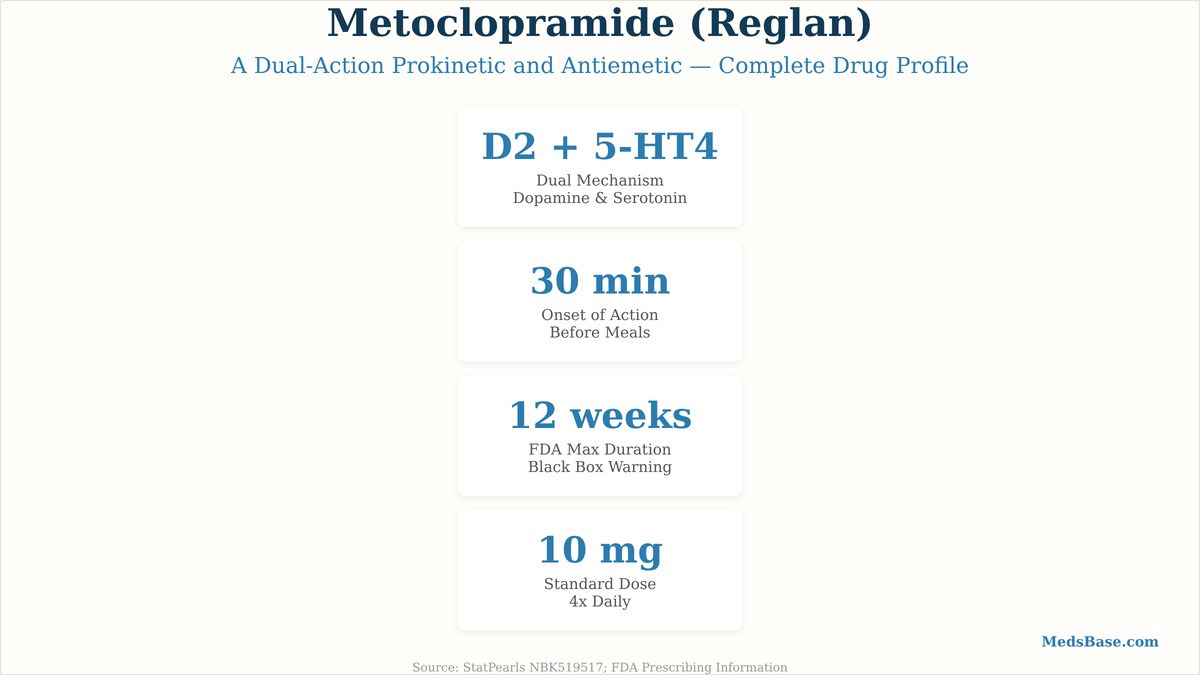 metoclopramide guide overview showing drug class and key uses for gastroparesis and nausea