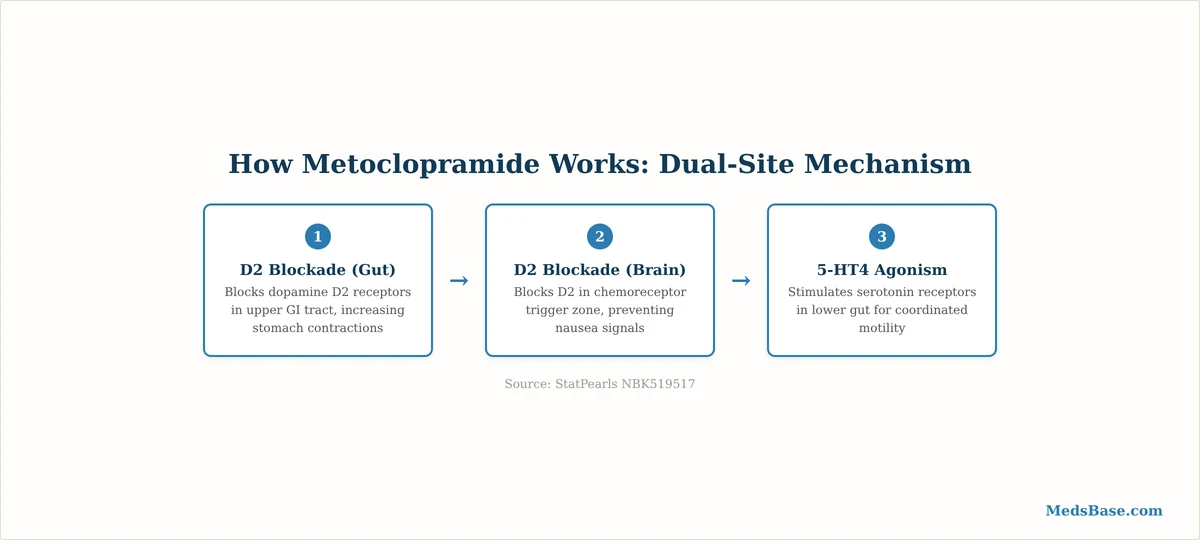 metoclopramide dual mechanism showing D2 blockade and 5-HT4 agonism