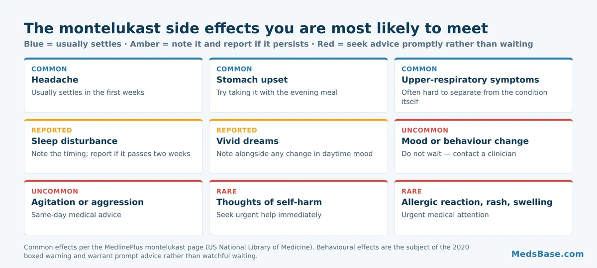 Six common montelukast side effects and what to do about each one