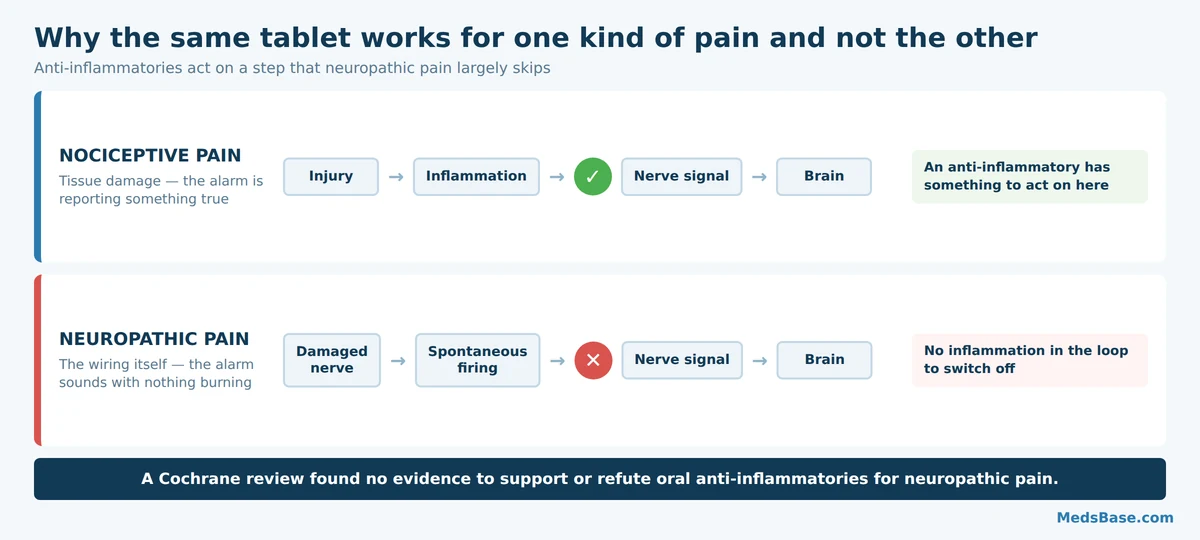 Diagram comparing nociceptive and neuropathic pain pathways and where anti-inflammatory drugs act