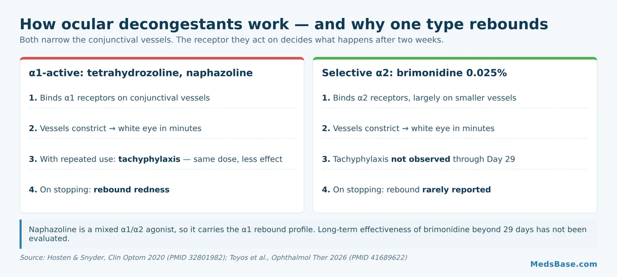 How ocular decongestants narrow eye vessels and why alpha-1 agents cause rebound redness