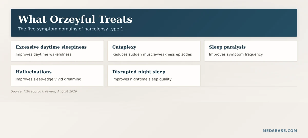 narcolepsy type 1 symptoms Orzeyful treats daytime sleepiness cataplexy