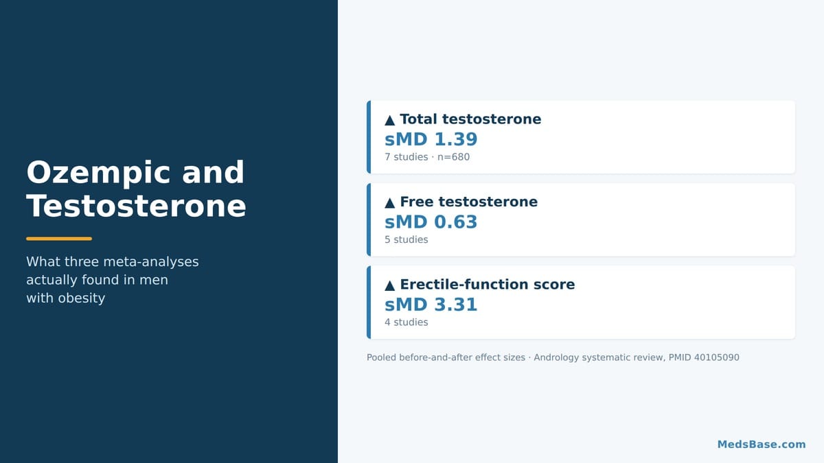 Ozempic and testosterone research summary showing total and free testosterone increases across seven studies